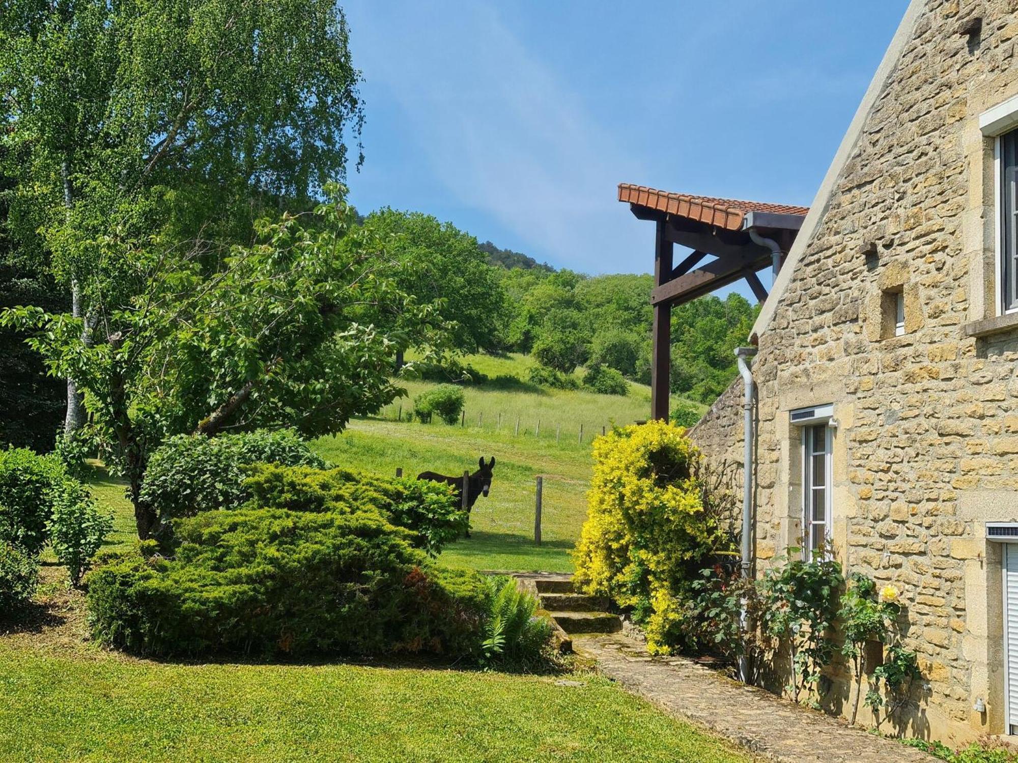 Modern Holiday Home On The Meadows Vault-de-Lugny Dış mekan fotoğraf